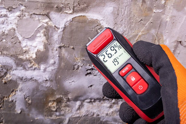 Mold Removal and Inspection in Longmont, CO