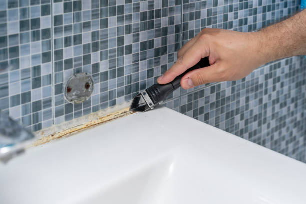 Best Mold Removal and Inspection  in Longmont, CO